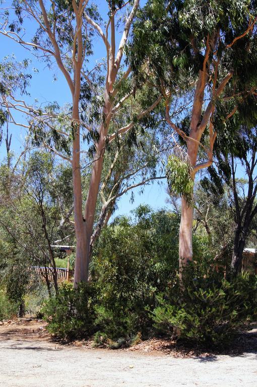 Bed and Breakfast Floravalley Toodyay Exteriér fotografie